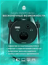 Микрофон конденсаторный IO by Red Square Mike SE (io611), черный