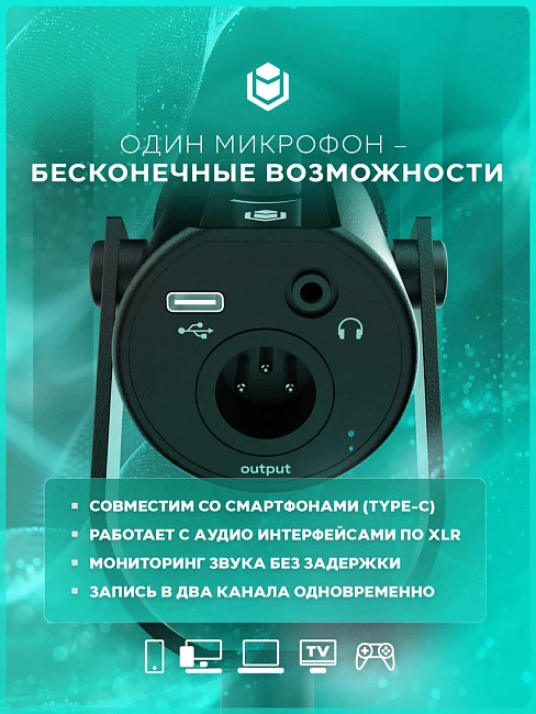 Микрофон конденсаторный IO by Red Square Mike SE (io611), черный
