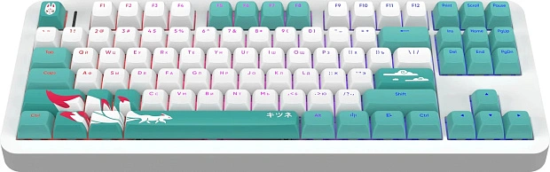 Клавиатура игровая проводная Red Square Alumix TKL Classic Kitsune g3ms Aquamarine RSQ-20052 (белая)