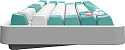 Клавиатура игровая проводная Red Square Alumix TKL Classic Kitsune g3ms Aquamarine RSQ-20052 (белая)