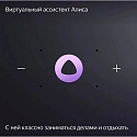 Умная колонка Яндекс.Станция Миди, модель: YNDX-00054GRY, серый