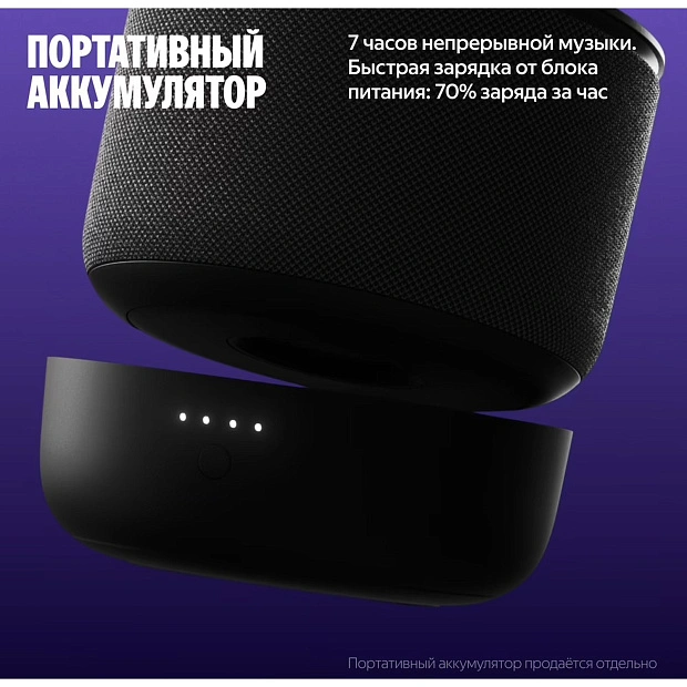 Умная колонка Яндекс Станция Мини 3 Про с Zigbee YNDX-00059BLK, черный