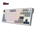 Клавиатура игровая проводная Royal Kludge RK R87 Brown switch (серая,бежевая)