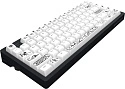 Клавиатура игровая проводная Дарк Проджект KD83A  DP-KD-83A-100100-GMN g3ms Magnetite (черно-белая)