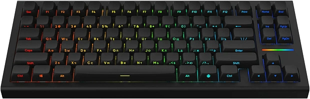 Клавиатура игровая проводная IO by Red Square Type 84 Magnetic g3ms Magnetite Ice io292 (черная)