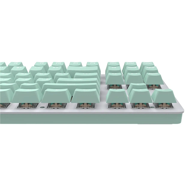 Клавиатура игровая проводная IO by Red Square Typex v2 g3ms Sapphire io214 (мятная)