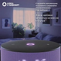 Умная колонка Яндекс.Станция Мини 3, модель: YNDX-00027LIL, лиловый