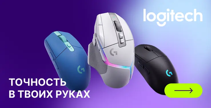 Logi mish