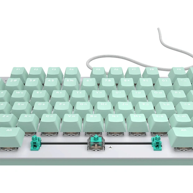 Клавиатура игровая проводная IO by Red Square Typex v2 g3ms Sapphire io214 (мятная)