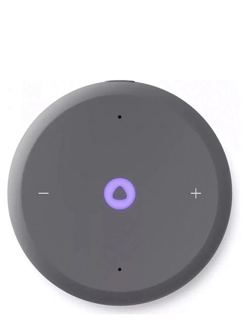 Умная колонка Яндекс Станция Лайт 2 с Алисой, YNDX-00026GRY (графит)