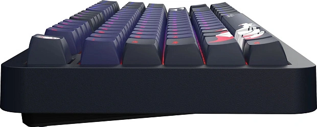 Клавиатура игровая проводная Red Square Alumix TKL Classic Kitsune g3ms Aquamarine RSQ-20051(черная)