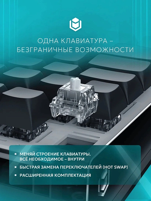 Клавиатура игровая проводная IO by Red Square Type 84 Magnetic g3ms Magnetite Ice io292 (черная)