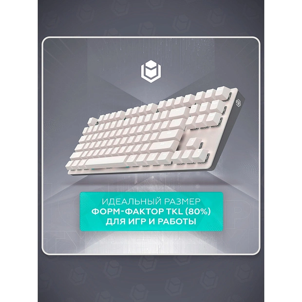 Клавиатура игровая проводная IO by Red Square Typex v2 g3ms Sapphire io213 (светло-серая)