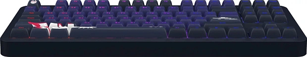 Клавиатура игровая проводная Red Square Alumix TKL Classic Kitsune g3ms Aquamarine RSQ-20051(черная)