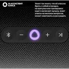 Умная портативная колонка Яндекс Станция Стрит YNDX-00030BLK, черный