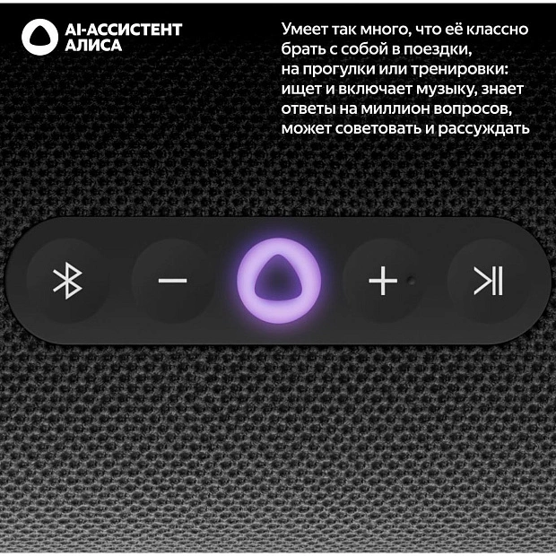 Умная портативная колонка Яндекс Станция Стрит YNDX-00030BLK, черный