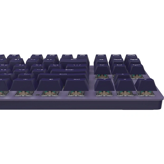 Клавиатура игровая проводная IO by Red Square Typex v2 g3ms Sapphire io215 (фиолетовая)