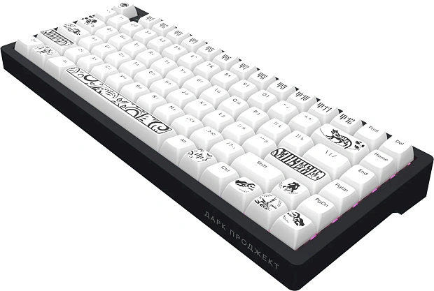 Клавиатура игровая проводная Дарк Проджект KD83A  DP-KD-83A-100100-GMN g3ms Magnetite (черно-белая)